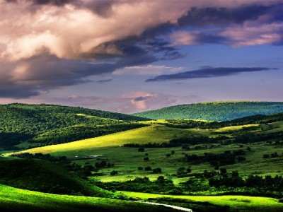 商家开通花呗收款有门道？安出掌柜助力经营更轻松
