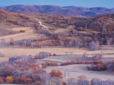 花呗商家收款要服务费吗？费率规则、优惠及降本技巧全解析