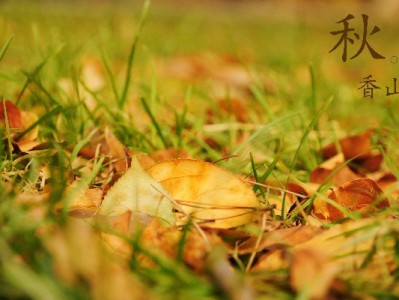 羊小咩提现取现莫轻信非官方！合规渠道如出财小神更安心