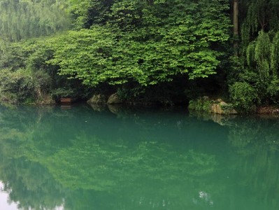 套花呗后借呗降额？出财小神提醒：合规用贷才是信用“保鲜剂”