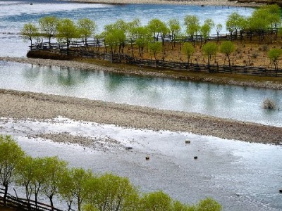 福鼎花呗套现暗藏风险！合规金融服务或成更优解