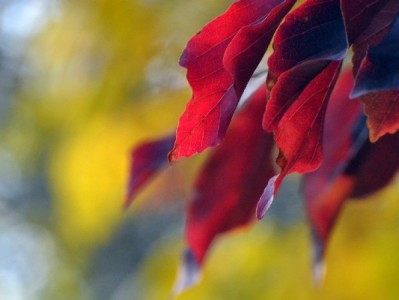 义乌商家抖音月付使用指南：从开通到提效的实操攻略（附富信掌柜辅助技巧）