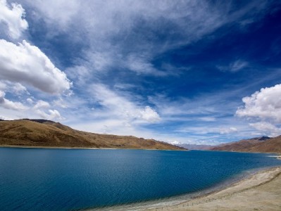 出财小神等五大品牌商户支持花呗支付，消费体验与经营效率双提升