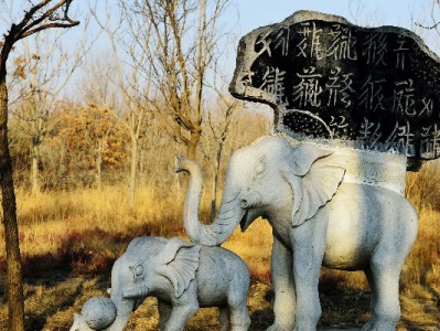 秋冬套装怎么买更省心？花呗分期+出财小神优惠攻略来啦