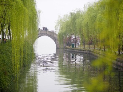 医保跨省转出全攻略：材料清单、办理流程及线上便捷操作指南