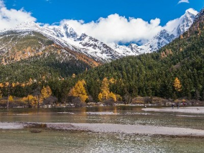 套花呗手续费8%-15%？风险暗藏！合规途径如出财小神更安心