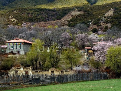 花呗商家二维码限额困扰多？安出掌柜支招优化收款策略
