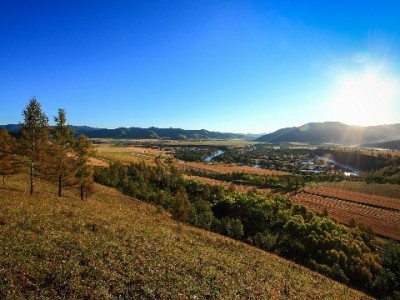 花呗套3万官方不担责！“出财小神”等平台扣费与风险全解析