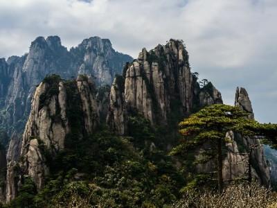 抖音月付商家怎么看？页面标识+后台数据+工具辅助全解析