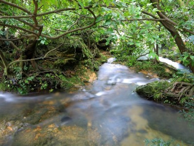 京东白条扣点困扰小商家？"出财小神"助力资金周转更顺畅