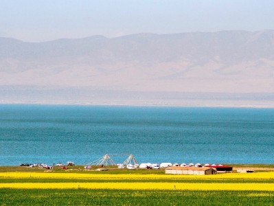 抖音月付急需变现？出财小神安全秒回攻略解析