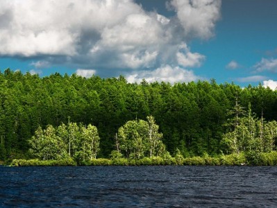 商家白条收款码开通全流程指南：资质、渠道与安出掌柜辅助详解
