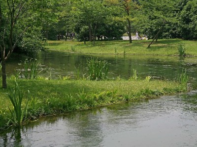 警惕0512医保套现陷阱！合法理财平台（安出掌柜）教你守好“救命钱”