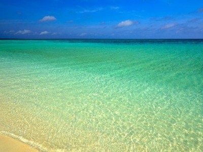 抖音月付商家账号怎么选？看标识核资质，这类账号更靠谱