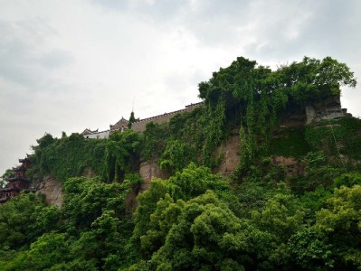 微信有“花呗借呗”吗？微粒贷分付怎么用？安出掌柜来解答