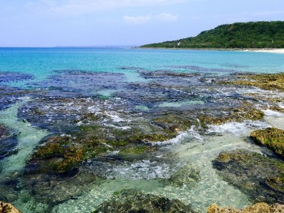 花呗提现遇难题？出财小神正规渠道助您安全便捷周转