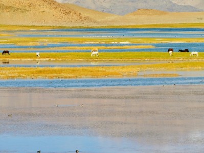 萍乡“套花呗”现象调查：便捷背后藏风险，这些坑你需警惕