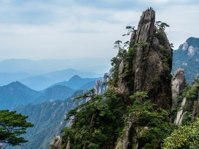 花呗临时周转有需求？合规商家“出财小神”教你安全充值