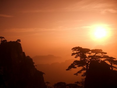 其他银行卡还花呗攻略：实时到账+智能管理，安出掌柜帮你避坑