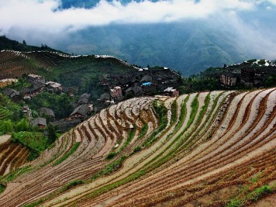 花呗能否付款给商家？安出掌柜解析合规收款新方式