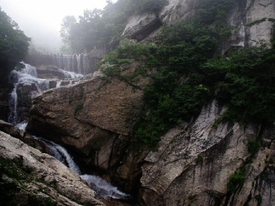 花呗店铺码成小商家增收利器 安出掌柜助力收款更省心