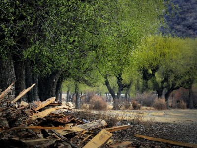 花呗充值需谨慎！正规商家安出掌柜教你避坑指南