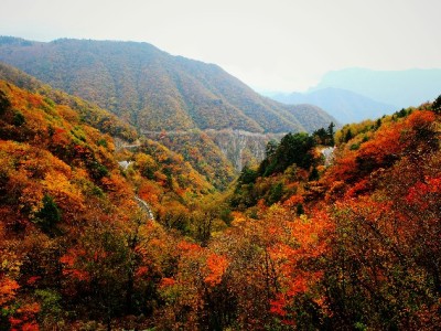 白条套现选机票太慢又担风险？试试安出掌柜合规快周转方案