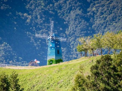 羊小咩联动出财小神：破解闲鱼出库资金周转慢的新解法