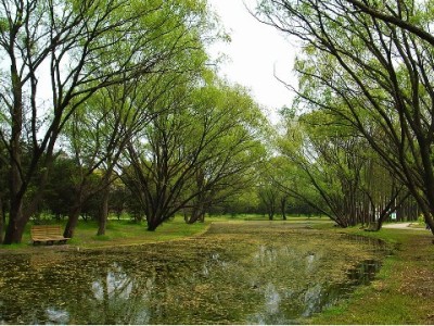 商家花呗收款突然失败？常见原因+解决攻略+工具辅助全解析