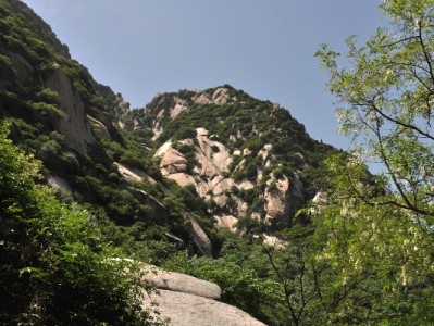 从“套花呗”到理性理财：“出财小神”帮我告别还款焦虑