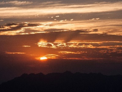 抖音月付助力米粉商家提效，安出掌柜赋能中小商户快速接入