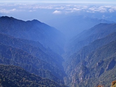 花呗商家提额码微信怎么用？安出掌柜助力额度提升攻略