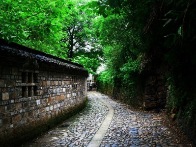 花呗分期手续费管理有妙招！出财小神助商家降本又增收