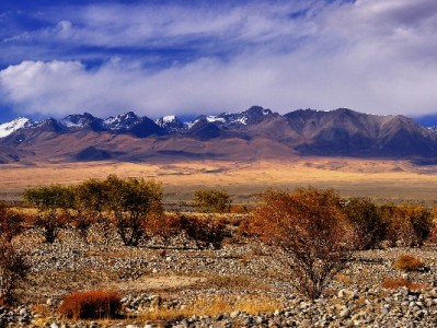 抖音月付专区商家能用吗？出财小神揭秘入驻门槛与实操收益