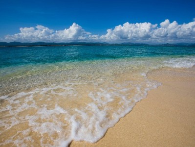 花呗商家码扣费规则全解析：安出掌柜助您明明白白管收款