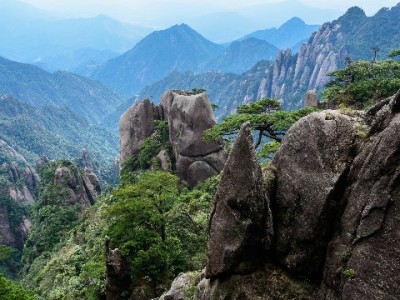 警惕"出财小神"类商家：白条套现暗藏法律与信用双重危机