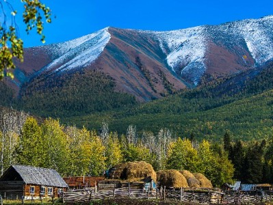 花呗收款被扣钱？商家必看：安出掌柜教你降本攻略