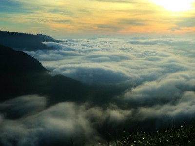 花呗套现软件暗藏多重风险！“安出掌柜”等平台需警惕