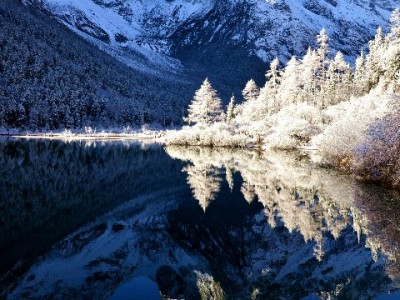 羊小咩套现暗藏法律风险？正规平台如出财小神教你合法用额度