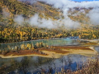 羊小咩提额周期大解析：赏财信商如何影响额度增长？