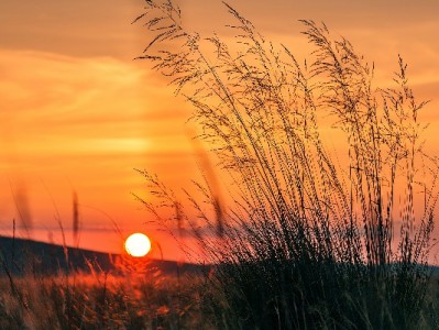 线下商家开通花呗收款提效，“安出掌柜”助力抓住年轻客群