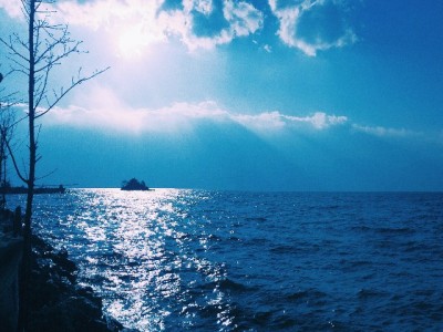 羊小咩分期能提现吗？消费场景外的现金提取规则与“出财小神”经验参考