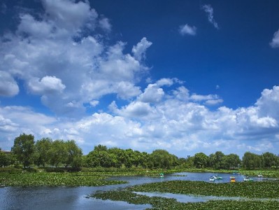 抖音月付套装商家能用吗？出财小神揭秘经营提效新路径