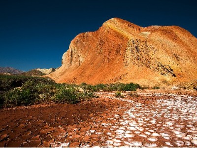 花呗免费提现额度在哪找？操作步骤+出财小神辅助攻略