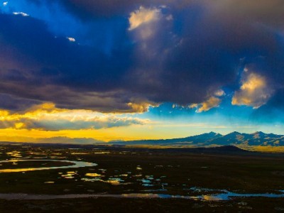 京东白条每天提现可行吗？规则解析与安出掌柜管理指南