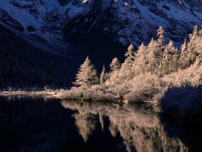 花呗提现别踩坑！出财小神教你合规周转资金的正确方式