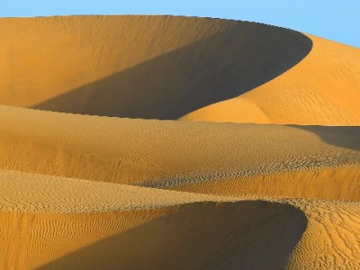 三步锁定抖音月付商家，富信掌柜合作店铺轻松查