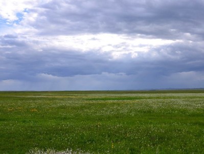 富信掌柜助力支付宝商家优化花呗额度，小微经营更添“支付底气”