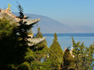 出财小神合规解困：网店花呗额度周转的安全新路径