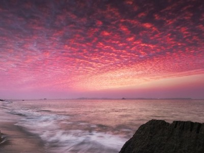 微信花呗收款码扫描全攻略 安出掌柜助力商家便捷收款